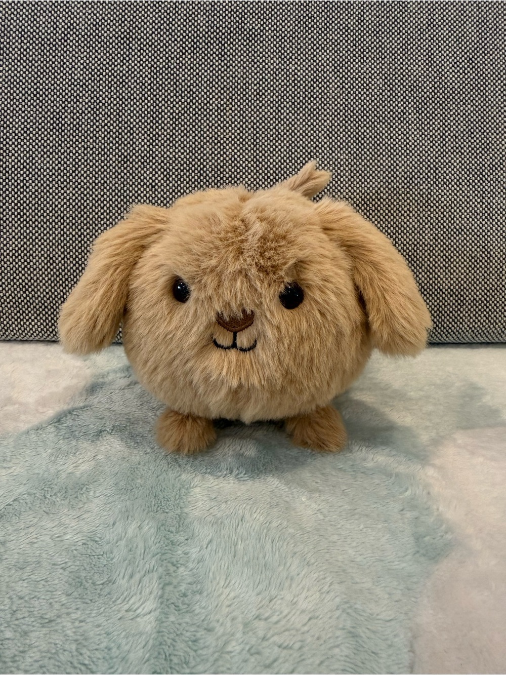 Jellycat Caboodle Puppy BNWT